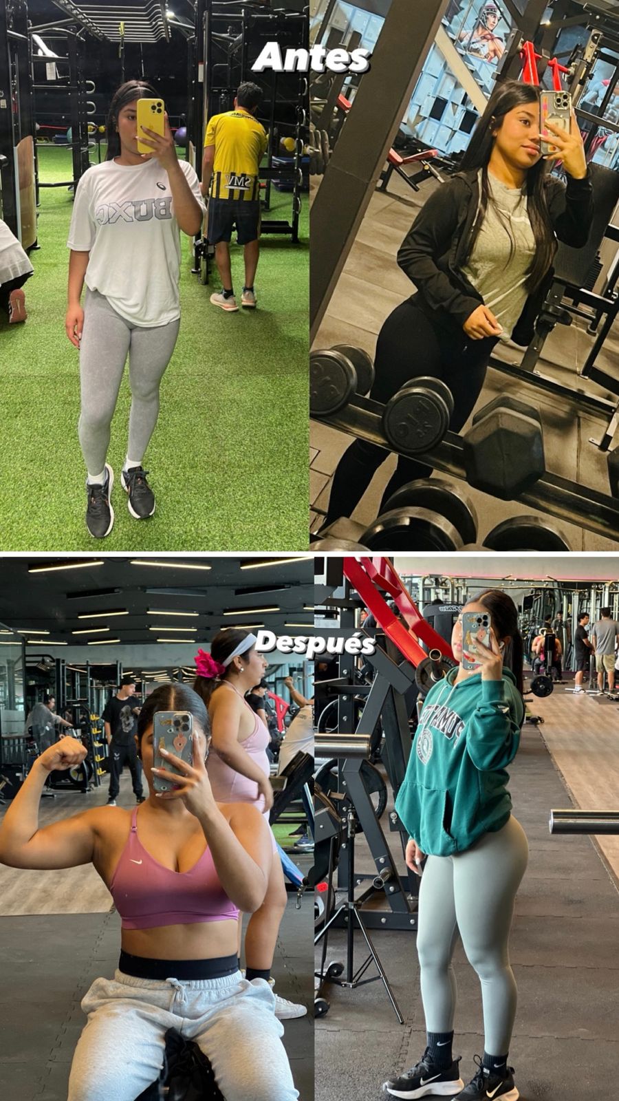 Transformación